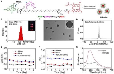 A Theranostic Nanoprobe for Hypoxia Imaging and Photodynamic Tumor Therapy